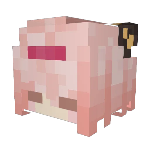 AnyaChannie Minecraft avatar head, 3D render