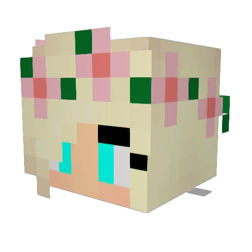AnyaNyashka2013 Minecraft avatar head, 3D render