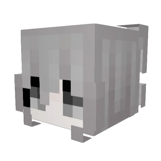 Anyangchen Minecraft avatar head, 3D render