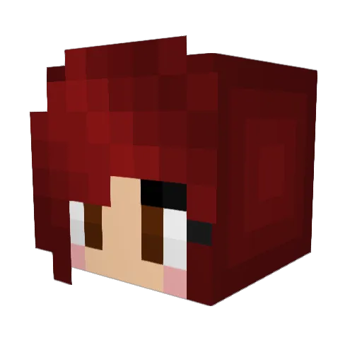 Anyard90 Minecraft avatar head, 3D render