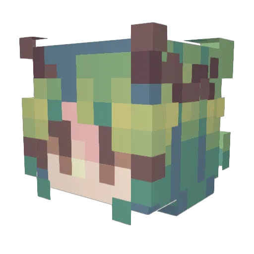 Anyawn Minecraft avatar head, 3D render