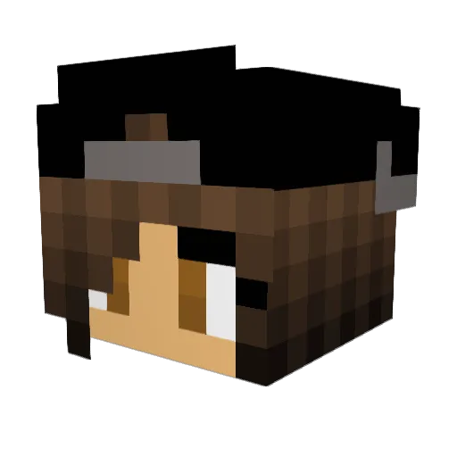 Anychee Minecraft avatar head, 3D render