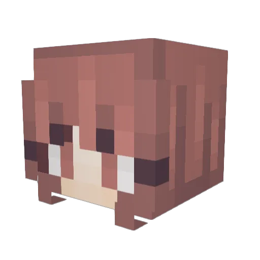 Anyeehaw Minecraft avatar head, 3D render