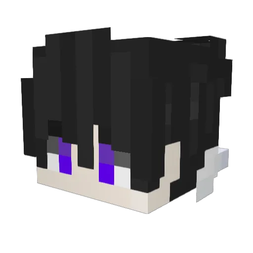 Anyfly Minecraft avatar head, 3D render