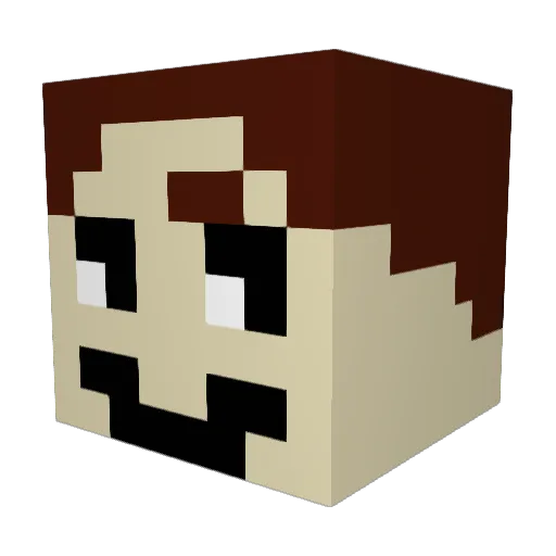 Anyjuanhome Minecraft avatar head, 3D render