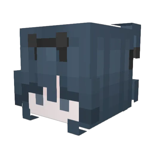 Anyli Minecraft avatar head, 3D render