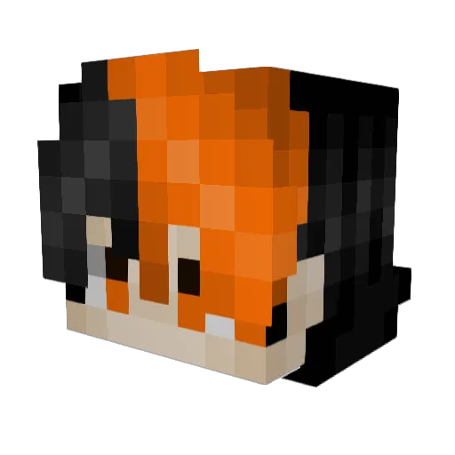 Anyomis Minecraft avatar head, 3D render