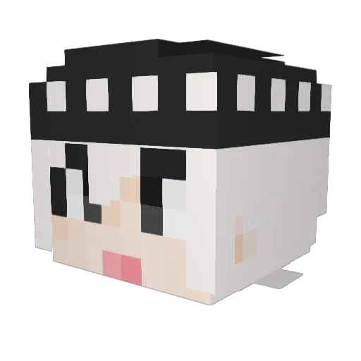 Anyongnam Minecraft avatar head, 3D render