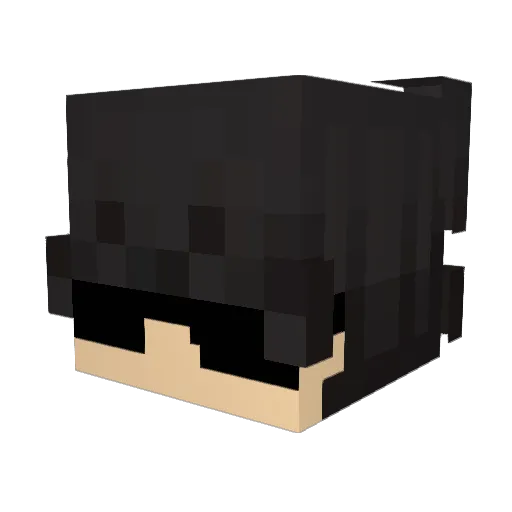 AnytheBro Minecraft avatar head, 3D render