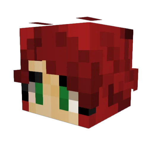 AnythingGoesEm Minecraft avatar head, 3D render