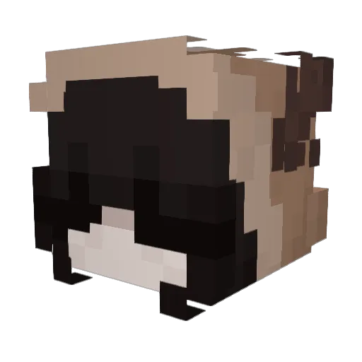 Anytik228 Minecraft avatar head, 3D render