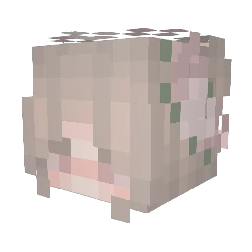 Anyuta_ Minecraft avatar head, 3D render