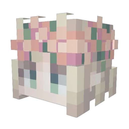 Anyway_h Minecraft avatar head, 3D render