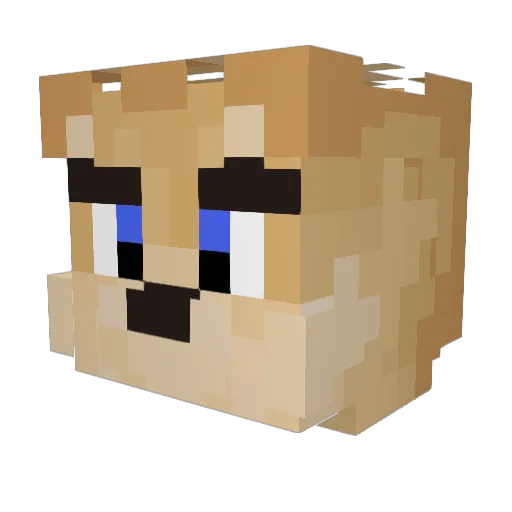 Anyxar Minecraft avatar head, 3D render