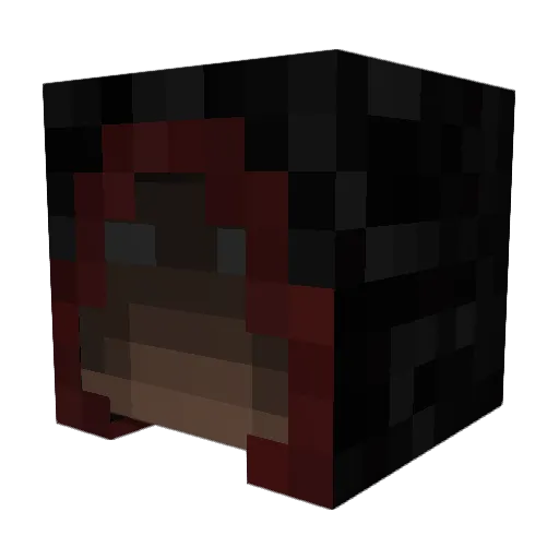 Anzu9 Minecraft avatar head, 3D render