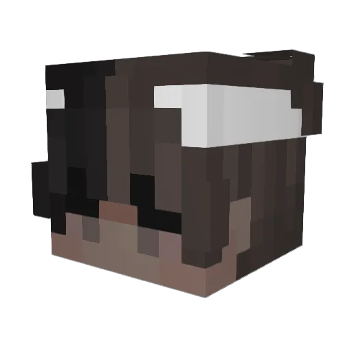 AoKqz_ Minecraft avatar head, 3D render