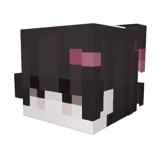 AoKylero Minecraft avatar head, 3D render