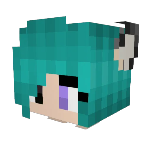 Aochan9 Minecraft avatar head, 3D render