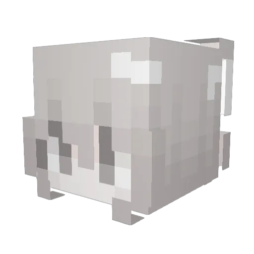 Aocyte Minecraft avatar head, 3D render