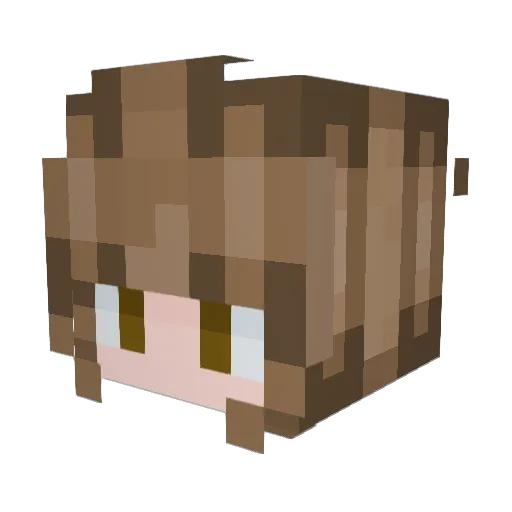 Aoife5206 Minecraft avatar head, 3D render