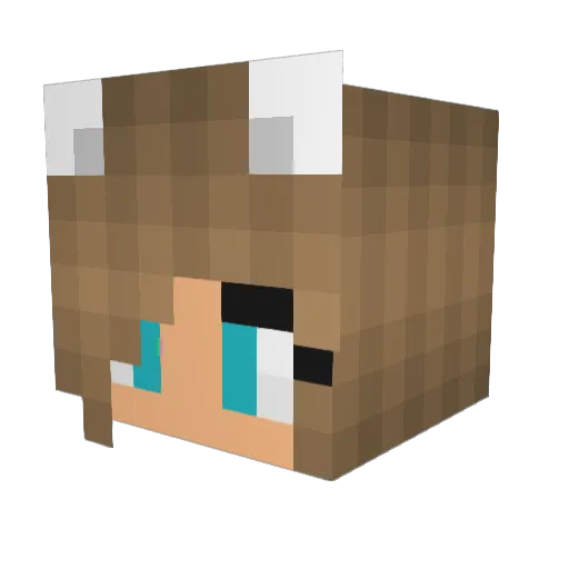 Aoife9br3 Minecraft avatar head, 3D render