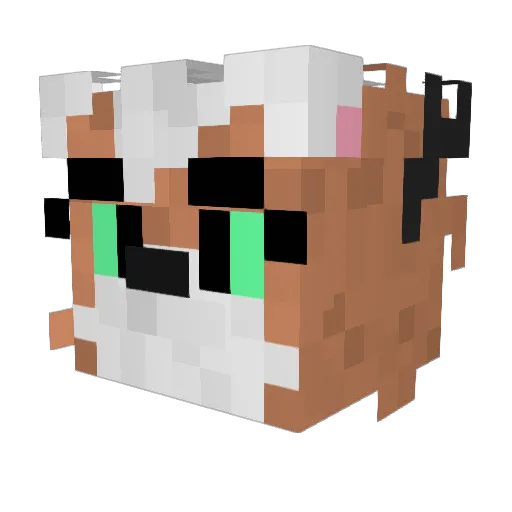 Aok9999 Minecraft avatar head, 3D render