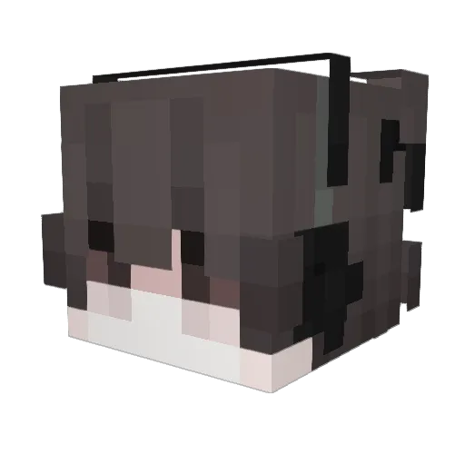 AokiSogo Minecraft avatar head, 3D render