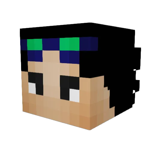AokiSwag Minecraft avatar head, 3D render