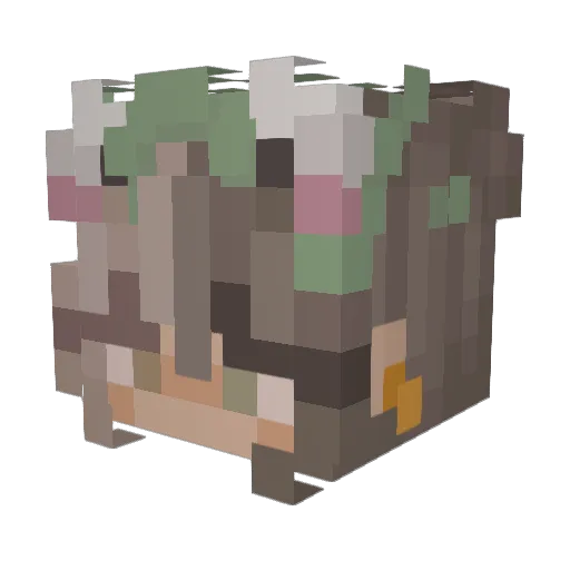Aokqin Minecraft avatar head, 3D render