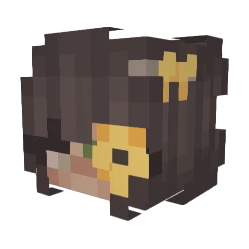 Aoks Minecraft avatar head, 3D render