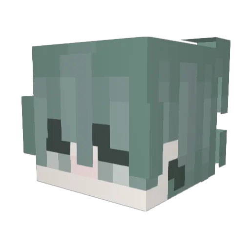 Aolf Minecraft avatar head, 3D render