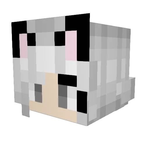 Aollay Minecraft avatar head, 3D render