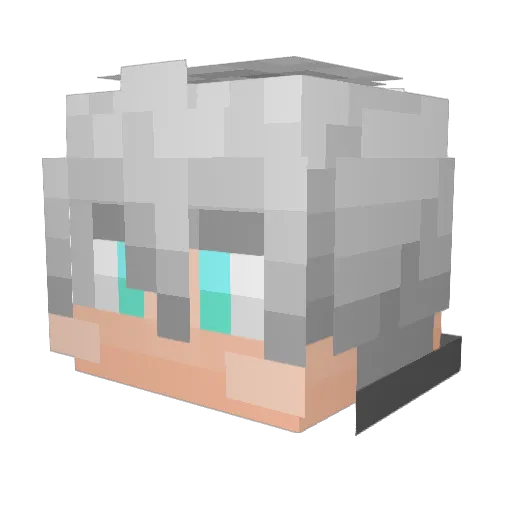 Aom2Gamer Minecraft avatar head, 3D render