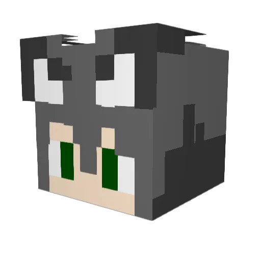 AonGreyFox Minecraft avatar head, 3D render