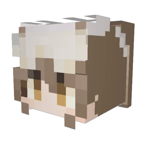 Aong_0 Minecraft avatar head, 3D render