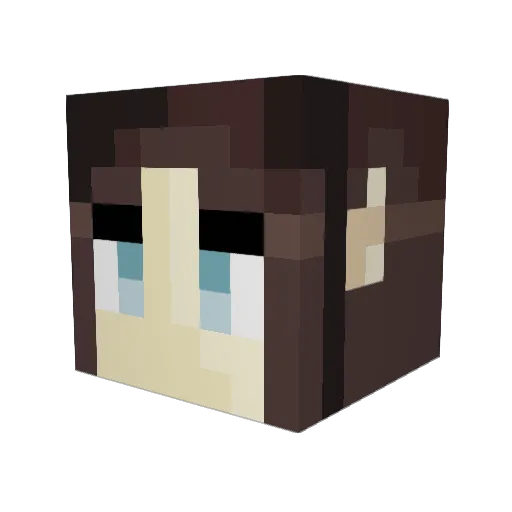 Aonna Minecraft avatar head, 3D render