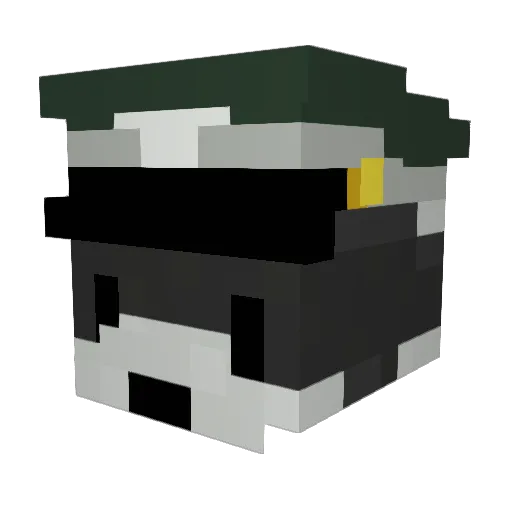 Aoshinnn Minecraft avatar head, 3D render