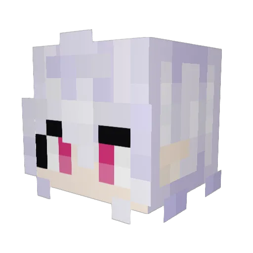 Aotsuki1210 Minecraft avatar head, 3D render