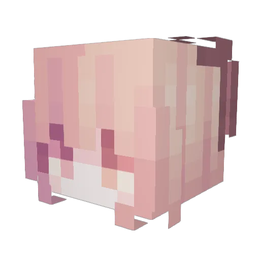 Aouth_ Minecraft avatar head, 3D render