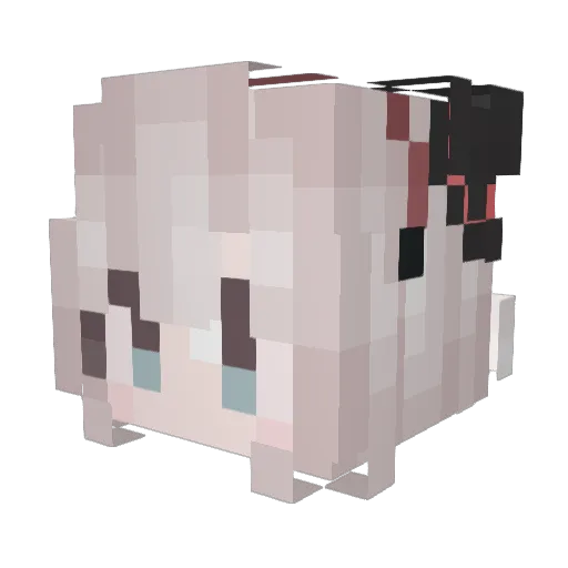 Aox237 Minecraft avatar head, 3D render