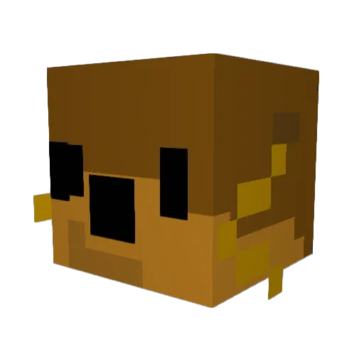 Ap805 Minecraft avatar head, 3D render