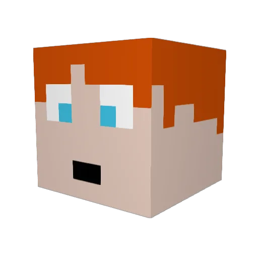 ApDi Minecraft avatar head, 3D render