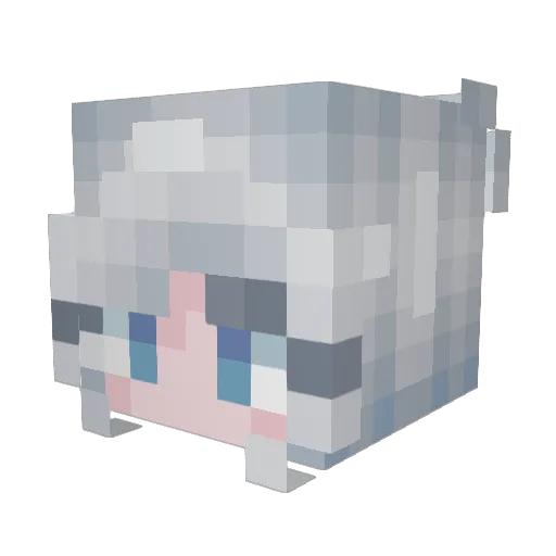 ApOLoYT Minecraft avatar head, 3D render