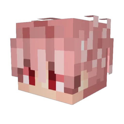 Apac0lyps Minecraft avatar head, 3D render