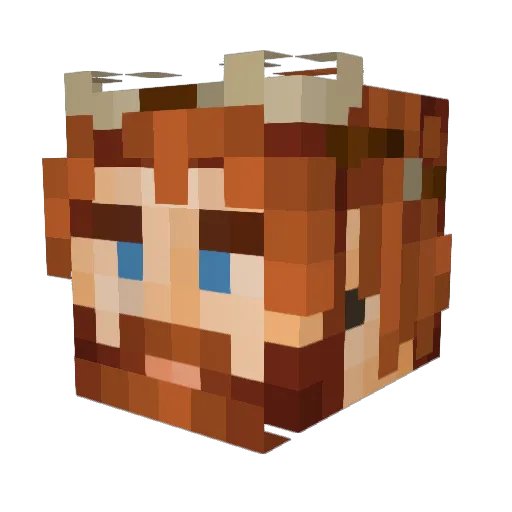 ApakaPedras Minecraft avatar head, 3D render