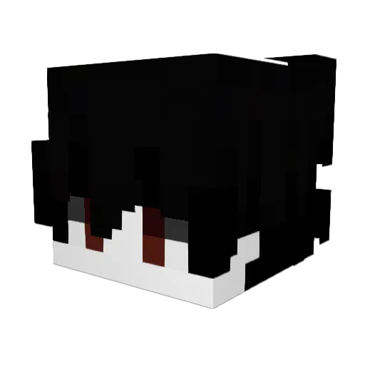 Apariencia Minecraft avatar head, 3D render