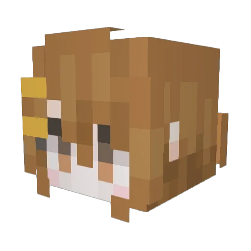 ApartPenguin141 Minecraft avatar head, 3D render