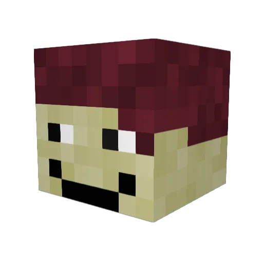 Apasahoya Minecraft avatar head, 3D render