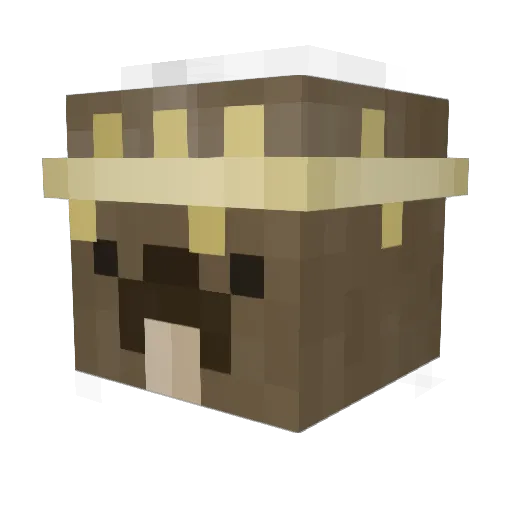 ApatheticBeaver Minecraft avatar head, 3D render