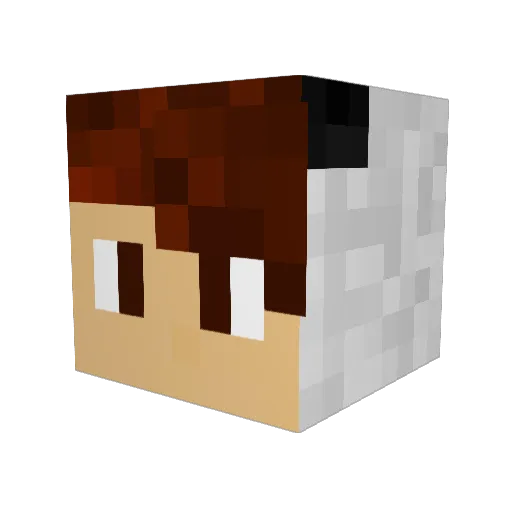 ApcalypticpandA Minecraft avatar head, 3D render